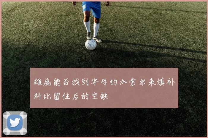 雄鹿能否找到字母的加索尔来填补科比留住后的空缺