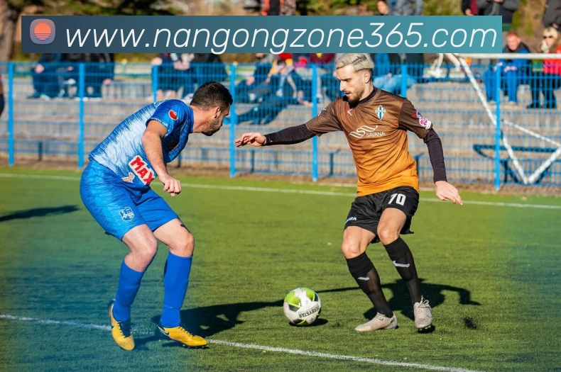 南宫体育平台生态图